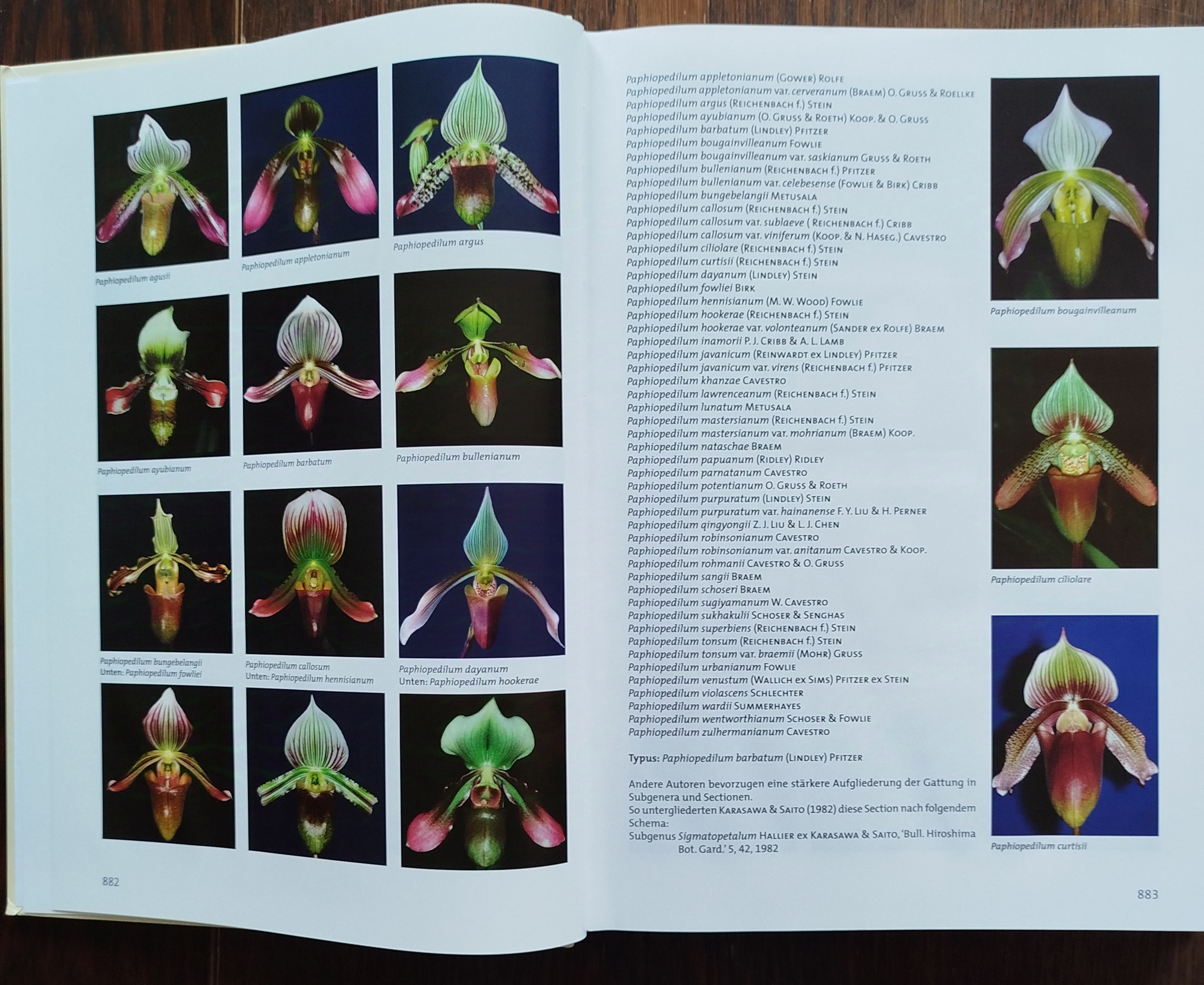 Buch: Paphiopedilum Südostasiatische Frauenschuhe Band 3